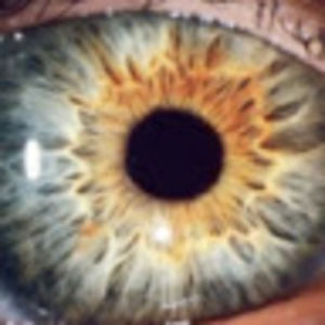 Meet your Posher, Steve